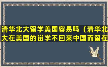 清华北大留学美国容易吗（清华北大在美国的畄学不回来中国而留在美国）