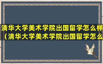 清华大学美术学院出国留学怎么样（清华大学美术学院出国留学怎么样知乎）