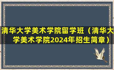 清华大学美术学院留学班（清华大学美术学院2024年招生简章）