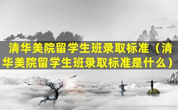 清华美院留学生班录取标准（清华美院留学生班录取标准是什么）