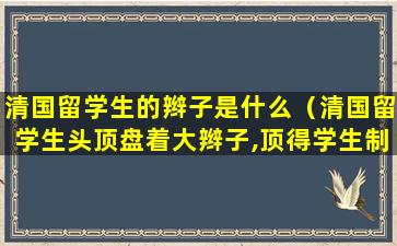 清国留学生的辫子是什么（清国留学生头顶盘着大辫子,顶得学生制）