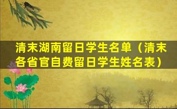 清末湖南留日学生名单（清末各省官自费留日学生姓名表）