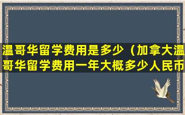 温哥华留学费用是多少（加拿大温哥华留学费用一年大概多少人民币）