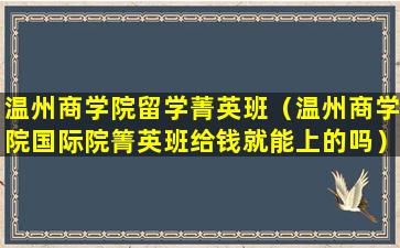 温州商学院留学菁英班（温州商学院国际院箐英班给钱就能上的吗）