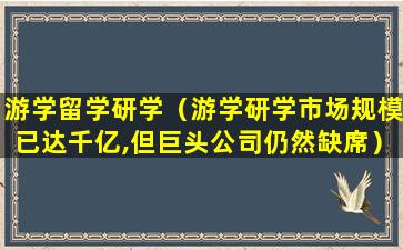 游学留学研学（游学研学市场规模已达千亿,但巨头公司仍然缺席）