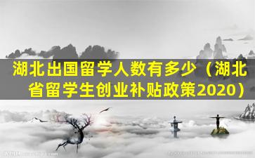 湖北出国留学人数有多少（湖北省留学生创业补贴政策2020）