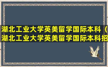 湖北工业大学英美留学国际本科（湖北工业大学英美留学国际本科招生简章）