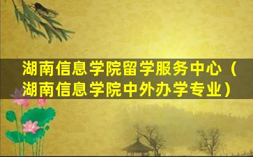 湖南信息学院留学服务中心（湖南信息学院中外办学专业）