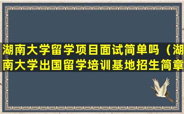 湖南大学留学项目面试简单吗（湖南大学出国留学培训基地招生简章）