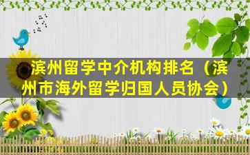 滨州留学中介机构排名（滨州市海外留学归国人员协会）