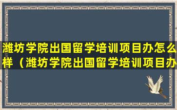 潍坊学院出国留学培训项目办怎么样（潍坊学院出国留学培训项目办怎么样啊）