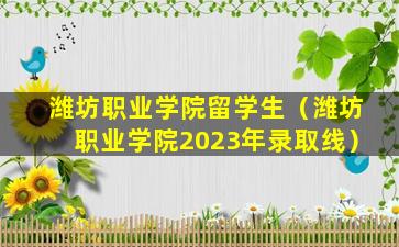 潍坊职业学院留学生（潍坊职业学院2023年录取线）