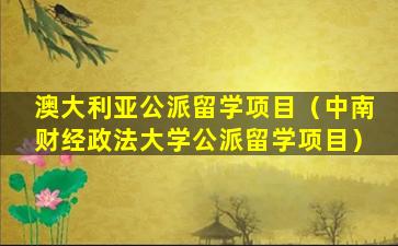 澳大利亚公派留学项目（中南财经政法大学公派留学项目）