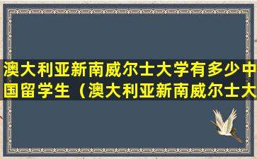 澳大利亚新南威尔士大学有多少中国留学生（澳大利亚新南威尔士大学相当国内哪些大学）