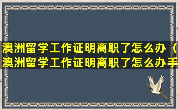 澳洲留学工作证明离职了怎么办（澳洲留学工作证明离职了怎么办手续）