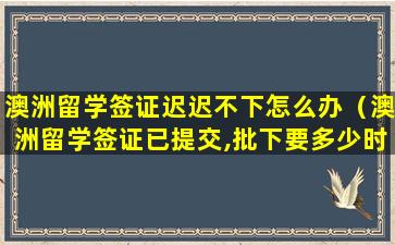 澳洲留学签证迟迟不下怎么办（澳洲留学签证已提交,批下要多少时间）