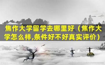 焦作大学留学去哪里好（焦作大学怎么样,条件好不好真实评价）