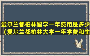 爱尔兰都柏林留学一年费用是多少（爱尔兰都柏林大学一年学费和生活费要多少钱）