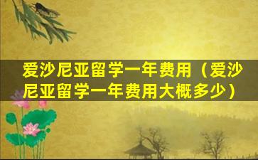 爱沙尼亚留学一年费用（爱沙尼亚留学一年费用大概多少）