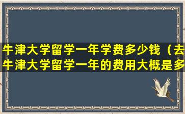 牛津大学留学一年学费多少钱（去牛津大学留学一年的费用大概是多少啊）