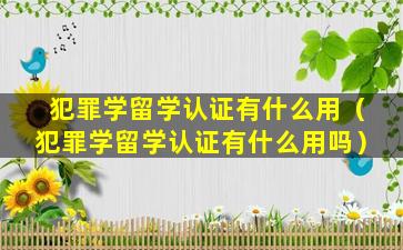 犯罪学留学认证有什么用（犯罪学留学认证有什么用吗）