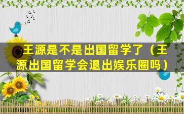 王源是不是出国留学了（王源出国留学会退出娱乐圈吗）