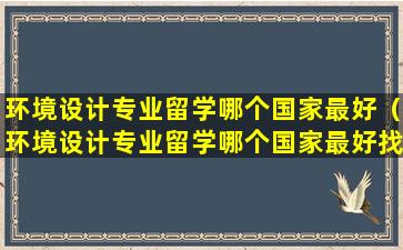 环境设计专业留学哪个国家最好（环境设计专业留学哪个国家最好找工作）