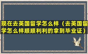 现在去英国留学怎么样（去英国留学怎么样顺顺利利的拿到毕业证）