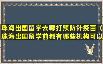 珠海出国留学去哪打预防针疫苗（珠海出国留学前都有哪些机构可以学雅思）