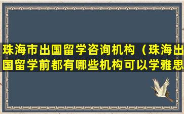 珠海市出国留学咨询机构（珠海出国留学前都有哪些机构可以学雅思）