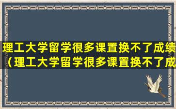 理工大学留学很多课置换不了成绩（理工大学留学很多课置换不了成绩怎么办）