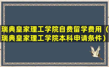 瑞典皇家理工学院自费留学费用（瑞典皇家理工学院本科申请条件）