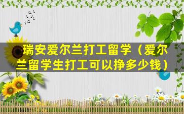 瑞安爱尔兰打工留学（爱尔兰留学生打工可以挣多少钱）
