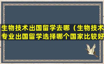 生物技术出国留学去哪（生物技术专业出国留学选择哪个国家比较好）