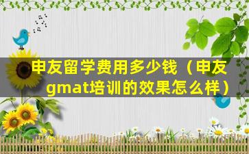 申友留学费用多少钱（申友gmat培训的效果怎么样）