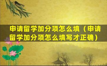 申请留学加分项怎么填（申请留学加分项怎么填写才正确）