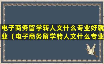 电子商务留学转人文什么专业好就业（电子商务留学转人文什么专业好就业呢）