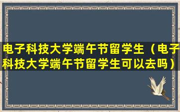 电子科技大学端午节留学生（电子科技大学端午节留学生可以去吗）