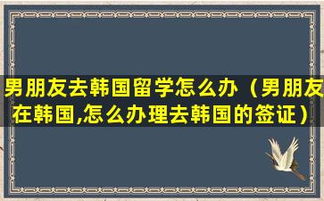 男朋友去韩国留学怎么办（男朋友在韩国,怎么办理去韩国的签证）