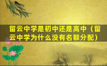 留云中学是初中还是高中（留云中学为什么没有名额分配）