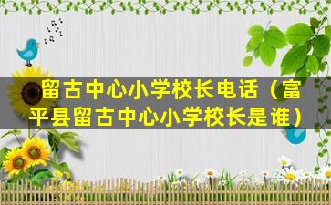 留古中心小学校长电话（富平县留古中心小学校长是谁）