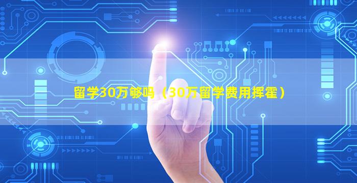 留学30万够吗（30万留学费用挥霍）