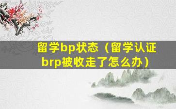 留学bp状态（留学认证brp被收走了怎么办）