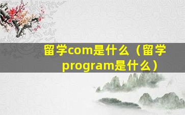 留学com是什么（留学program是什么）