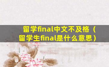 留学final中文不及格（留学生final是什么意思）