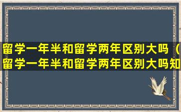 留学一年半和留学两年区别大吗（留学一年半和留学两年区别大吗知乎）