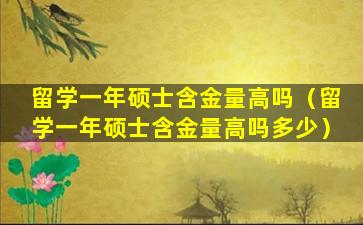 留学一年硕士含金量高吗（留学一年硕士含金量高吗多少）