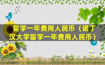 留学一年费用人民币（诺丁汉大学留学一年费用人民币）