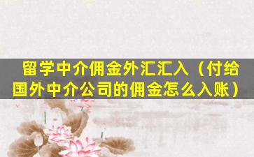 留学中介佣金外汇汇入（付给国外中介公司的佣金怎么入账）