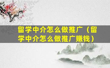 留学中介怎么做推广（留学中介怎么做推广赚钱）